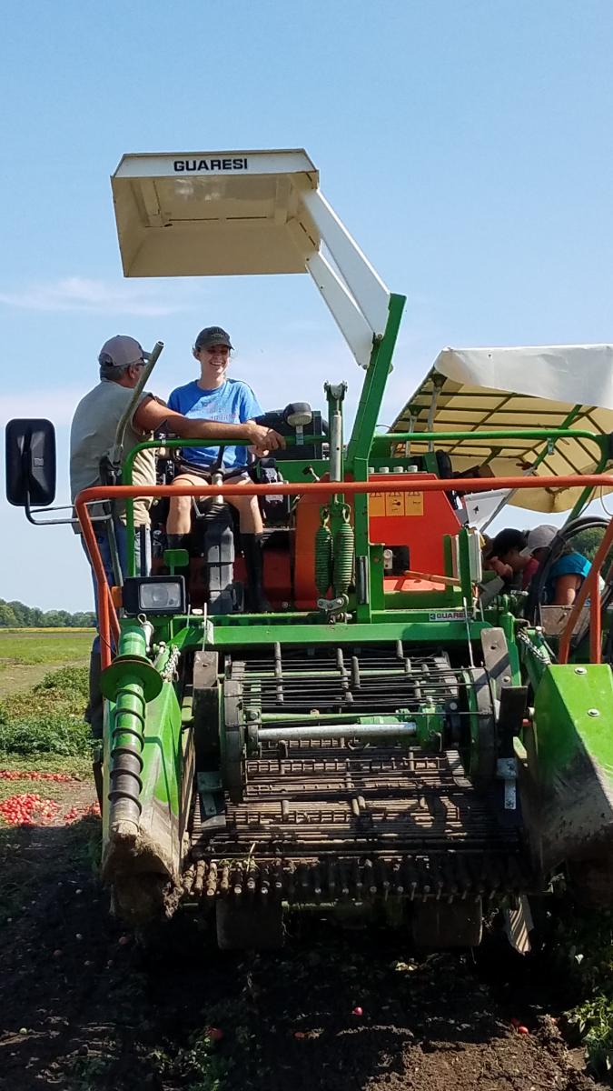 Jenna drives the tomato harvester, September 2018, Fremont, Ohio