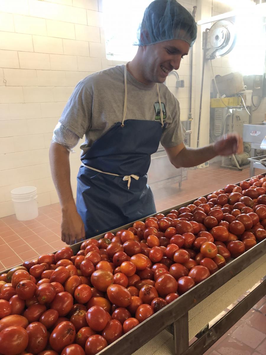 Michael enjoying processing tomatoes, September 2018, Columbus, Ohio