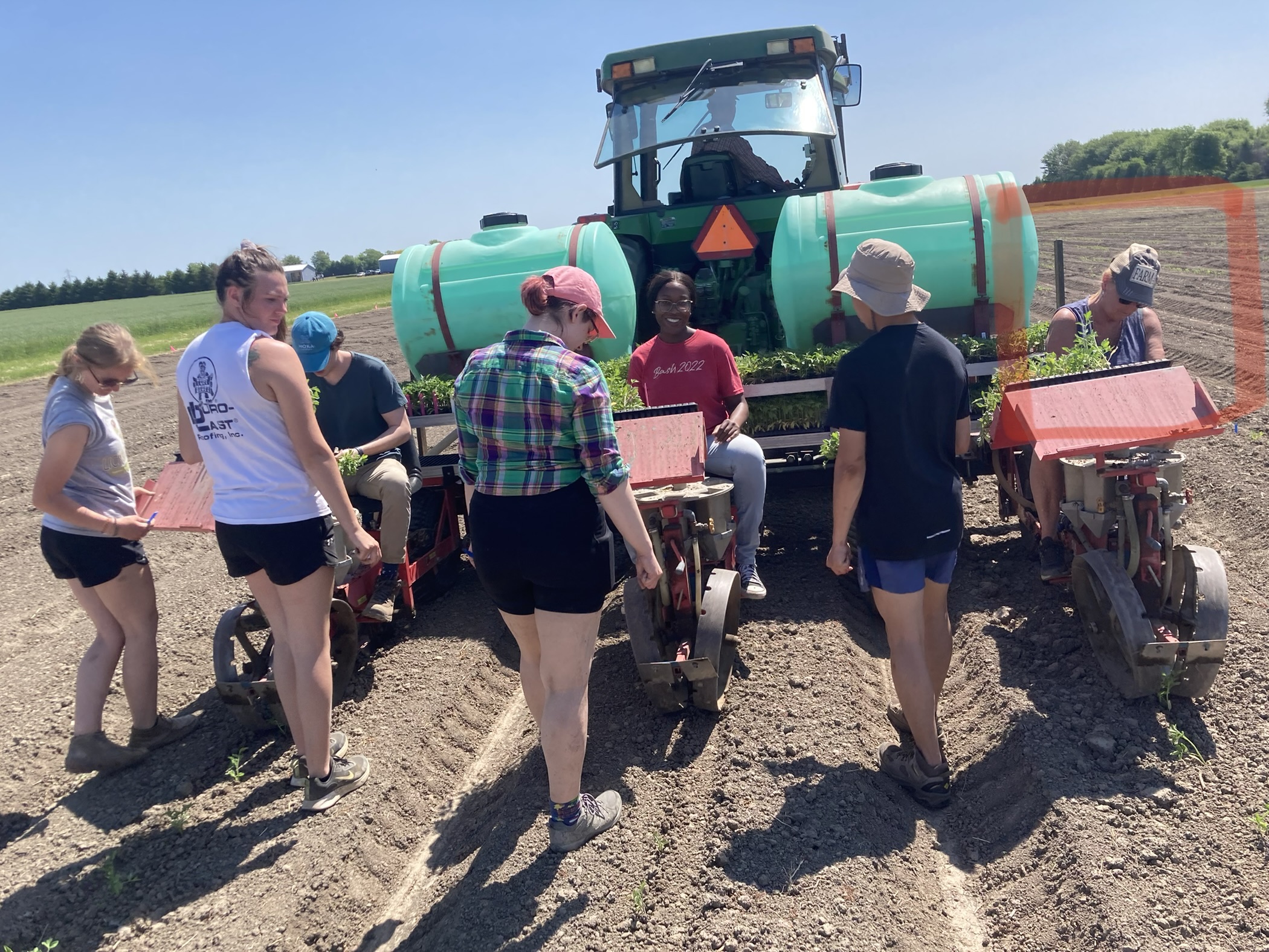 Aaron, Lydia, Maria, and Daniel Do plant tomatoes in Fremont, OH with the transplanter and the North Central Ag Research Station Farm Crew.